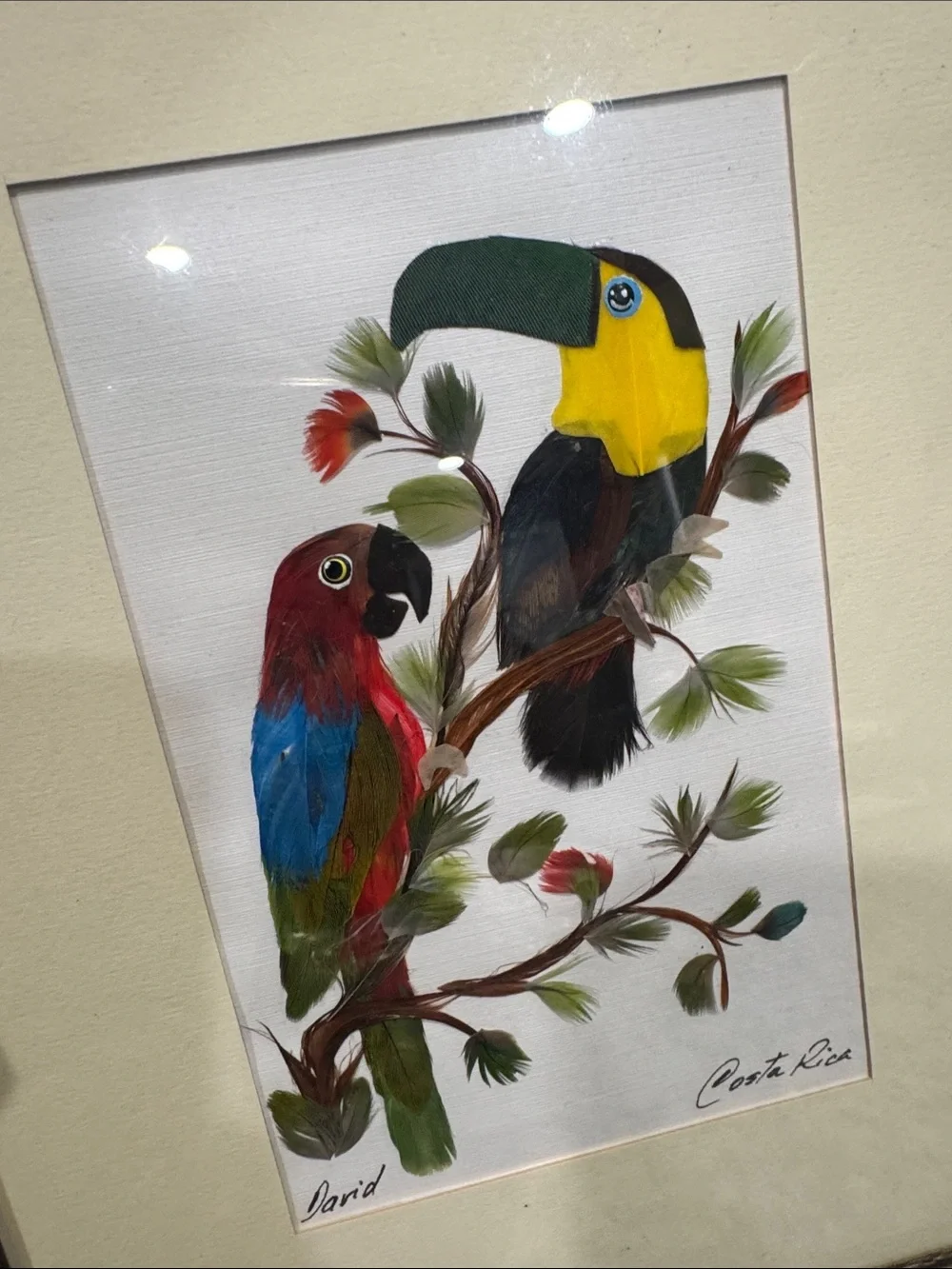 Framed feather art parrot Costa Rica